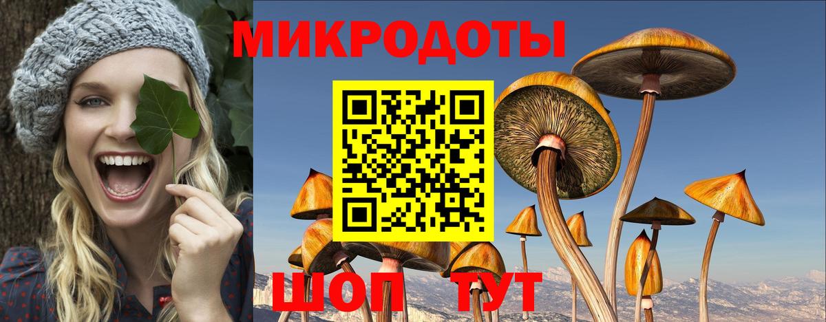 Красный Сулин  Псилоцибиновые грибы Magic Shrooms  Псилоцибиновые грибы Magic Shrooms  сколько стоит  Вход с VPN 