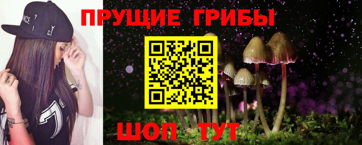 Псилоцибиновые грибы Cubensis Красный Сулин