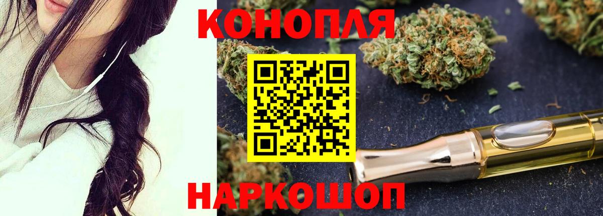Шишки марихуана планчик Красный Сулин